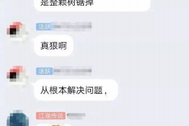 南郊讨债公司